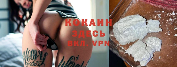 бошки Дмитров