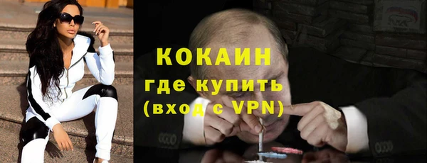 гашик Дмитриев