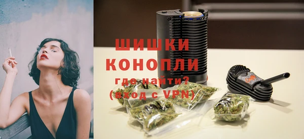 ALPHA-PVP Гусев